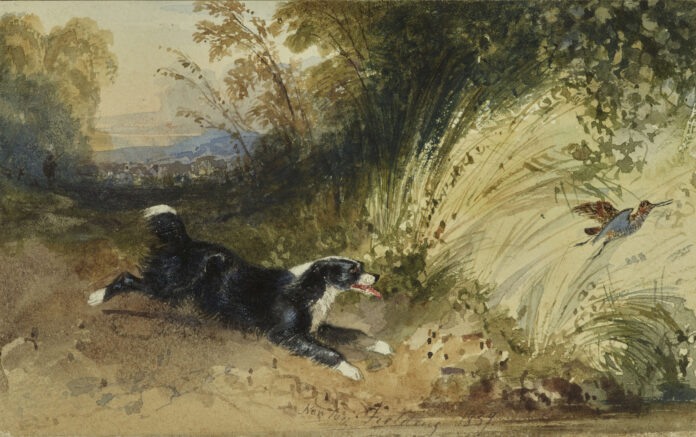 Newton Smith Limbird Fielding, “A Dog chasing a Snipe" - London Art Week Newton Smith Limbird Fielding, “A Dog chasing a Snipe" - London Art Week